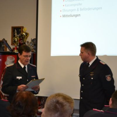 Bild vergr��ern: Ehrenkreuz in silber f�r OWF Levgr�n