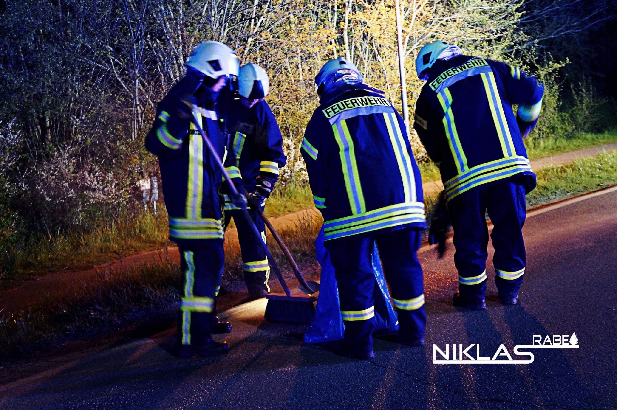 Einsatz 11 FF Schulendorf (2)