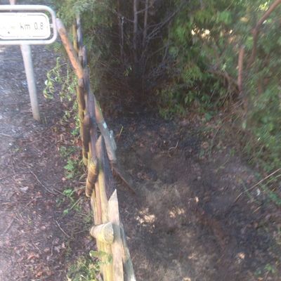 Bild vergr��ern: P�nitz 21_2016