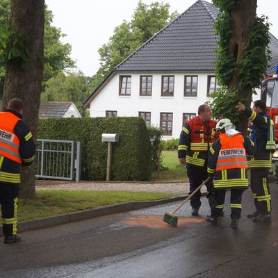 Bild vergr��ern:                                