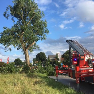 Bild vergr��ern: Scharbeutz Aktuelles 05.07.2016 Blitzeinschlag in Baum Bild 1 