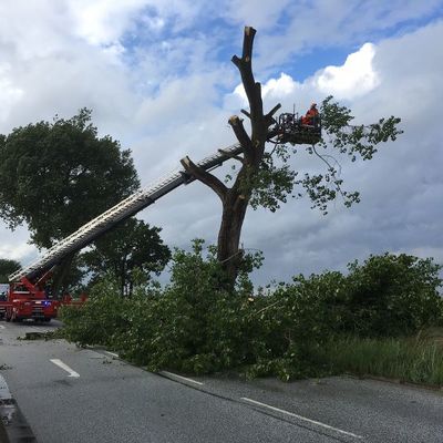 Bild vergr��ern: Scharbeutz Aktuelles 05.07.2016 Blitzeinschlag in Baum Bild 2