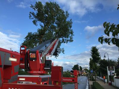 Bild vergr��ern: Scharbeutz Aktuelles 05.07.2016 Blitzeinschlag in Baum Bild 3