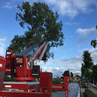 Bild vergrern: Scharbeutz Aktuelles 05.07.2016 Blitzeinschlag in Baum Bild 3