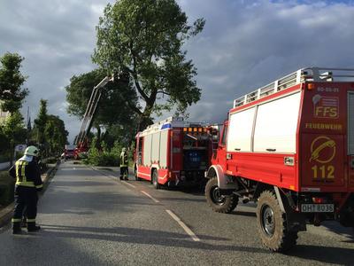 Bild vergr&ouml;&szlig;ern: Scharbeutz Aktuelles 05.07.2016 Blitzeinschlag in Baum Bild 4