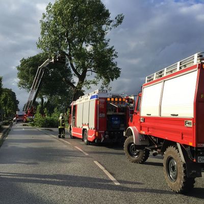 Bild vergr��ern: Scharbeutz Aktuelles 05.07.2016 Blitzeinschlag in Baum Bild 4
