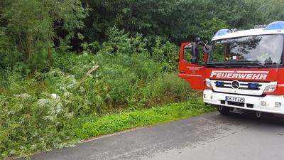 Bild vergr��ern: GleschendorfSeestra�e