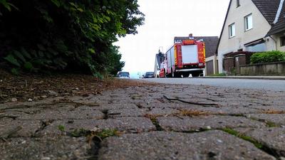 Bild vergr��ern: Gleschendorf2816