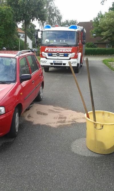 Bild vergr��ern: EinsatzGleschendorf