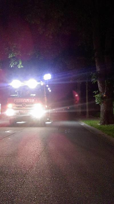 Bild vergr��ern: Einsatz 31 FF Gleschendorf