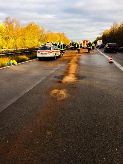 Bild vergr��ern: P�nitz 56_2016