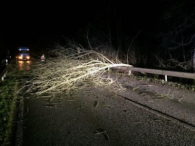 Bild vergr��ern: Scharbeutz Aktuelles 27.12.2016 Unwetter