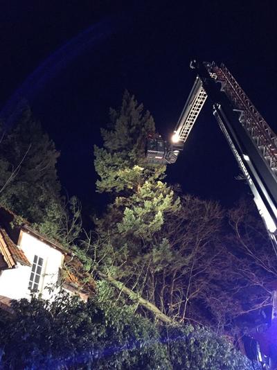 Bild vergr��ern: Scharbeutz Aktuelles 23.02.2017 Baum auf Haus