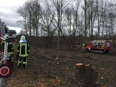 Bild vergr��ern: Scharbeutz Aktuelles 18.03.2017 Baum umgefallen 
