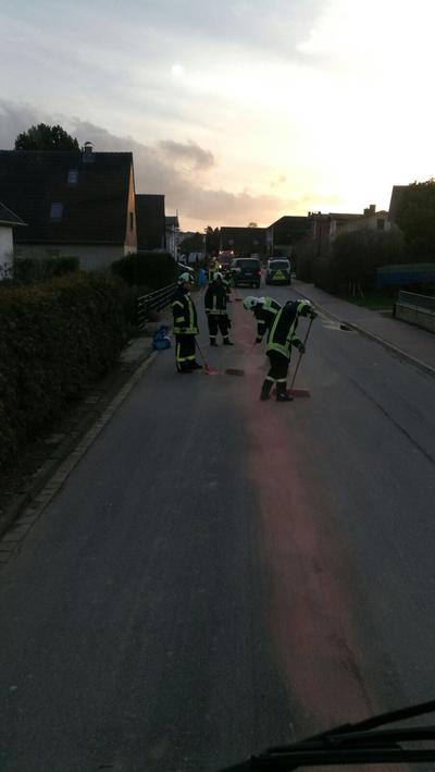 Bild vergr��ern: Einsatz FF Haffkrug Nr.5