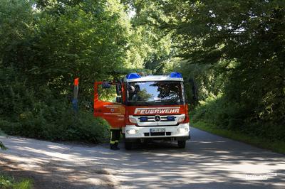 Bild vergr��ern: Einsatz Klingberg, Hundeauslauf 06.07.2017