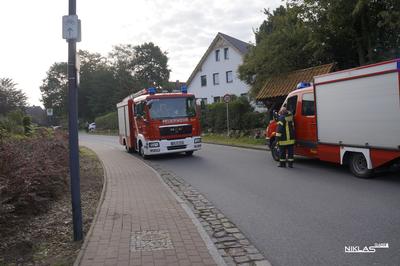 Bild vergr��ern: FEU BMA 26.08.17 FF P�nitz                              
