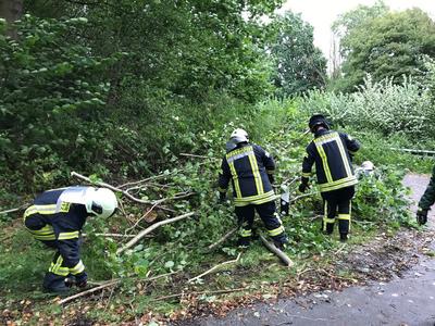 Bild vergr��ern: Scharbeutz Aktuelles 13.09.2017 Sturmtief Sebastian Bild 2