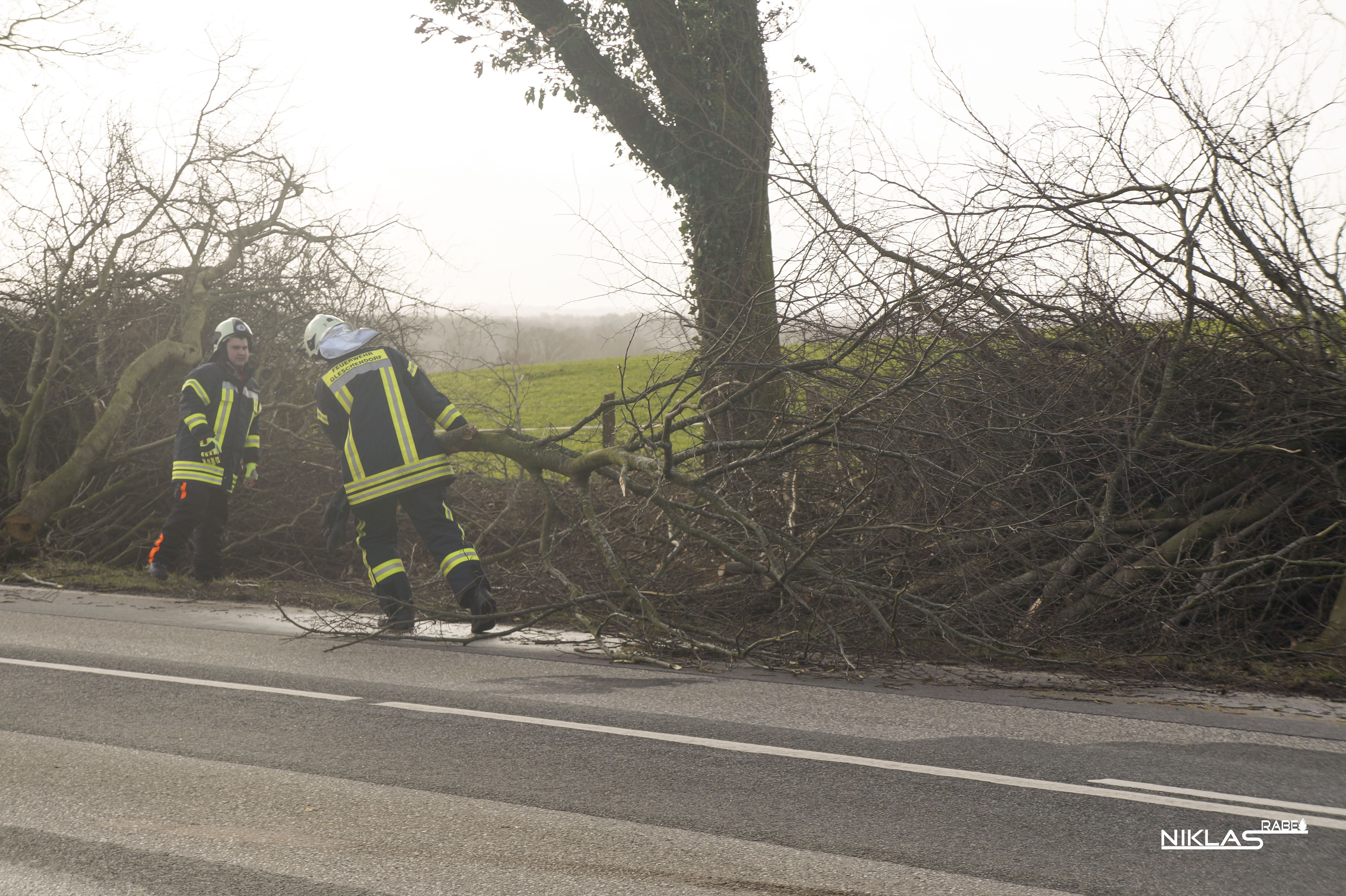 Einsatz 07 FF Gleschendorf