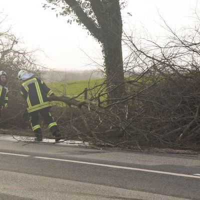Bild vergr��ern: Einsatz 07 FF Gleschendorf