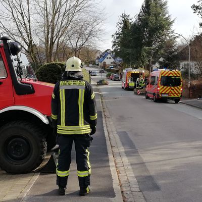 Bild vergr��ern: Scharbeutz Aktuelles 17.03.2018 Bild 1 