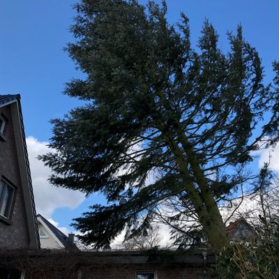 Bild vergr��ern: Scharbeutz Aktuelles 17.03.2018 Bild 2
