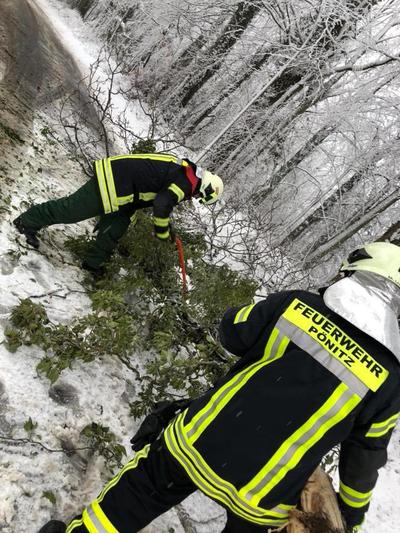 Bild vergr��ern: Einsatz P�nitz 21_2018