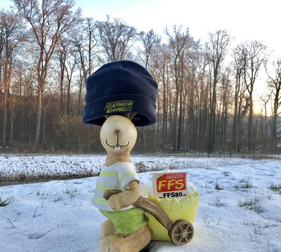 Bild vergr&ouml;&szlig;ern: Scharbeutz Osterhasen