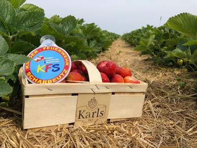 Bild vergr&ouml;&szlig;ern: Scharbeutz Aktuelles 23.06.2018 Ausflug@KFS 
