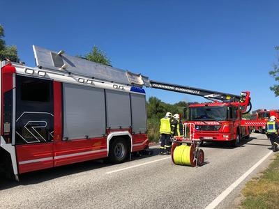 Bild vergr&ouml;&szlig;ern: Scharbeutz Aktuelles 03.07.2018 Person im Moor 