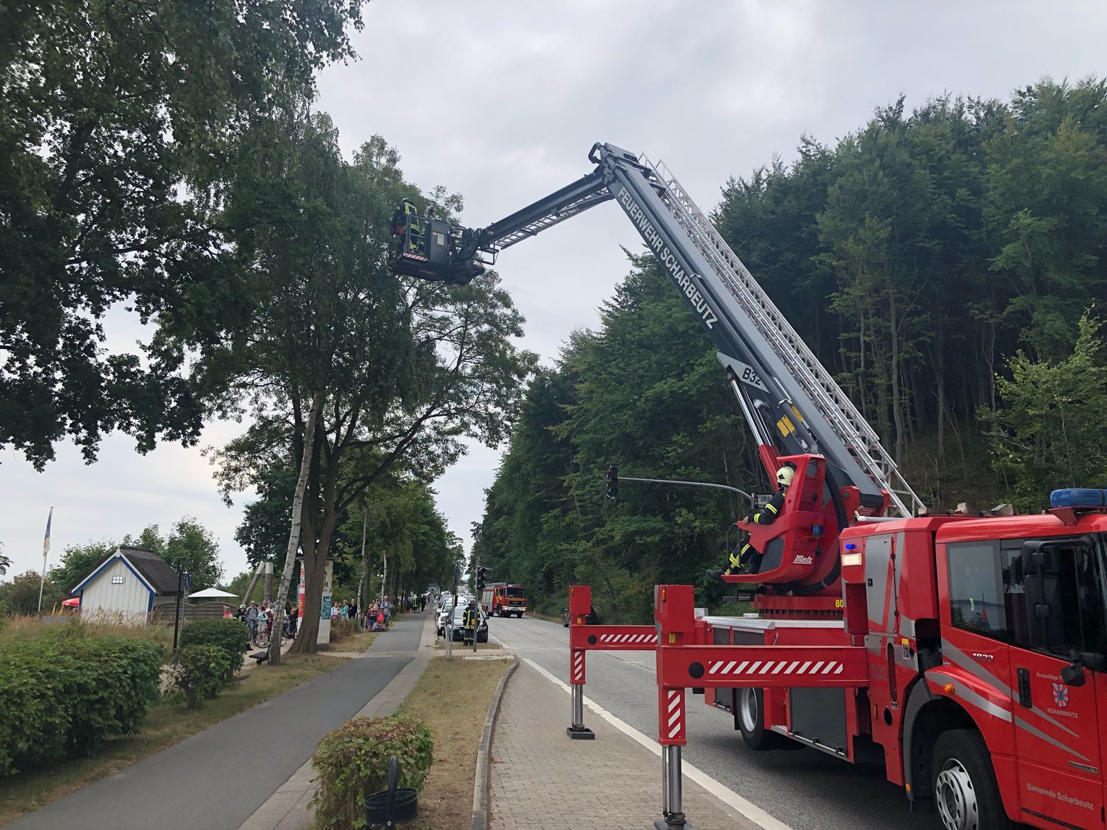 Scharbeutz Aktuelles 12.08.2018 Ast droht zu fallen