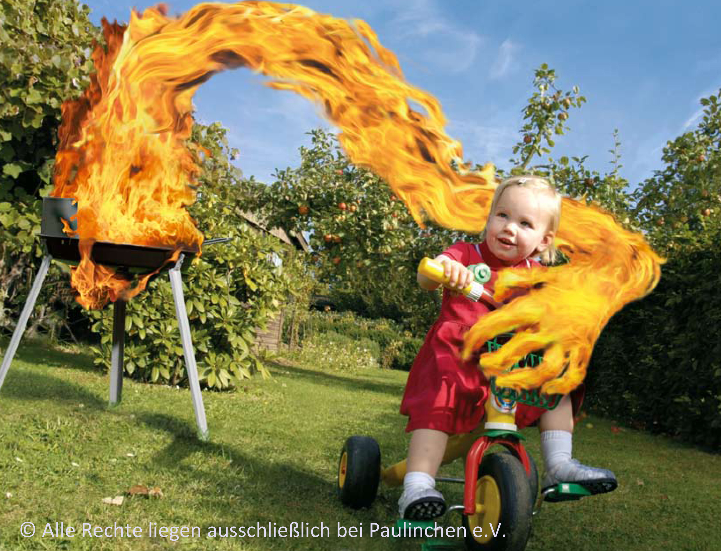 Bild Grillen 300dpi