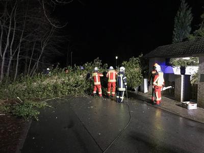 Bild vergr&ouml;&szlig;ern: Scharbeutz Aktuelles 15.03.2019 Sturm Heinz