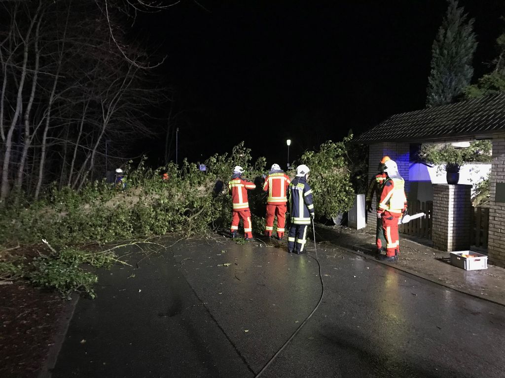 Scharbeutz Aktuelles 15.03.2019 Sturm Heinz
