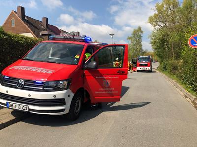 Bild vergr��ern: Scharbeutz Aktuelles 29.04.2019 Bild 1 