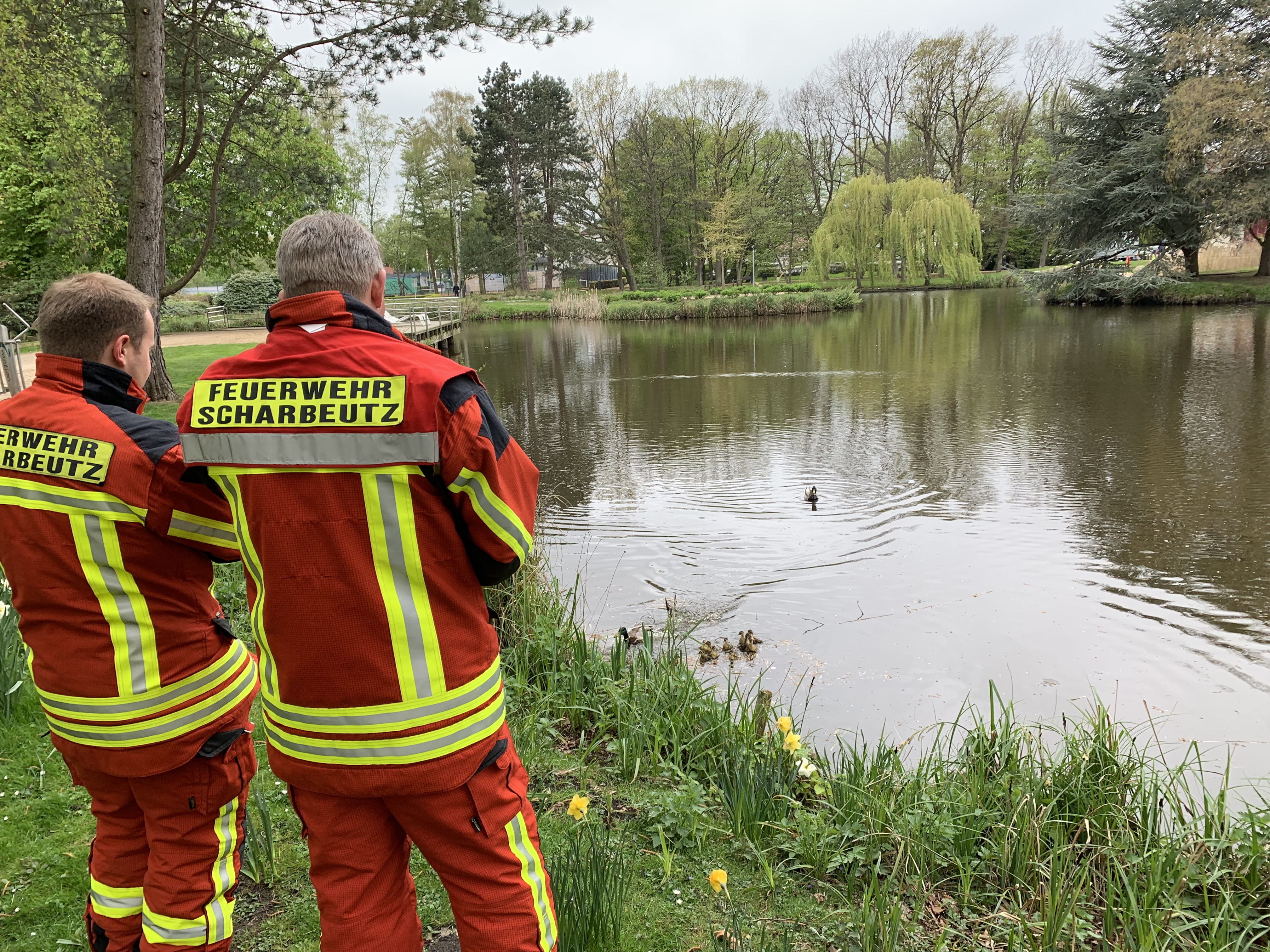 Scharbeutz Aktuelles 01.05.2019 Tierischer Einsatz Bild1