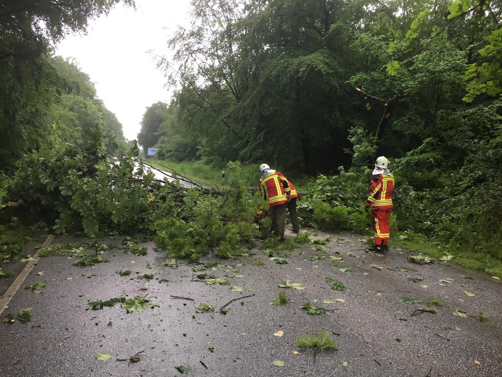 Scharbeutz Aktuelles 15.06.2019 Gewitterfront �ber Scharbeutz 