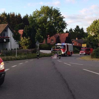 Bild vergr��ern: 16jun15 �l2
