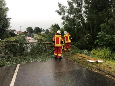 Bild vergr��ern: Einsatz40_2019