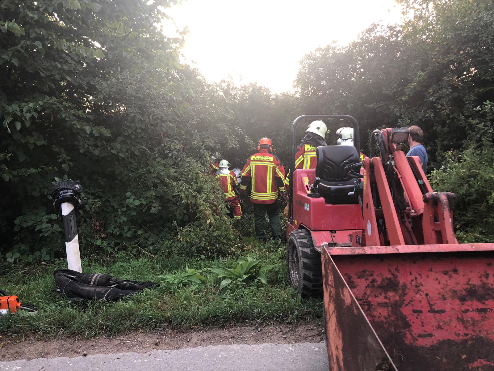 Einsatz 31/2019 FF Gleschendorf 