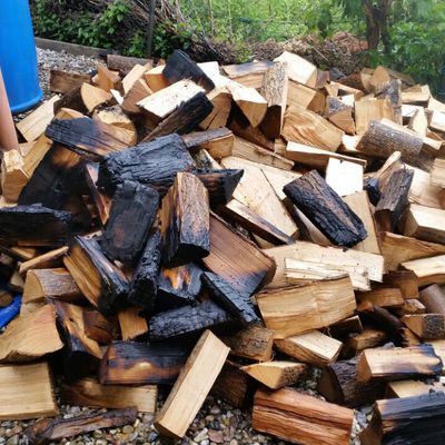 Bild vergr��ern: 19mai15 p�nitzer weg2