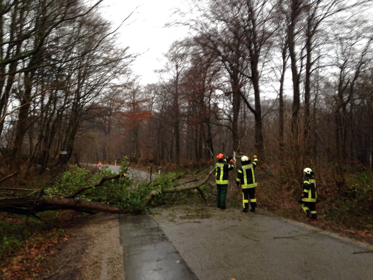 baum_stawedder
