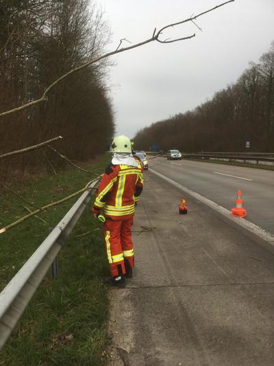 Bild vergr��ern: EinsatzP�nitz_20200209