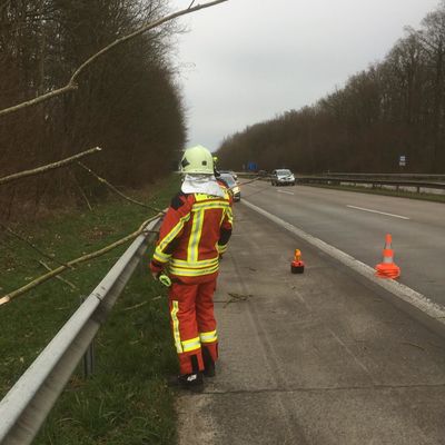 Bild vergr��ern: EinsatzP�nitz_20200209