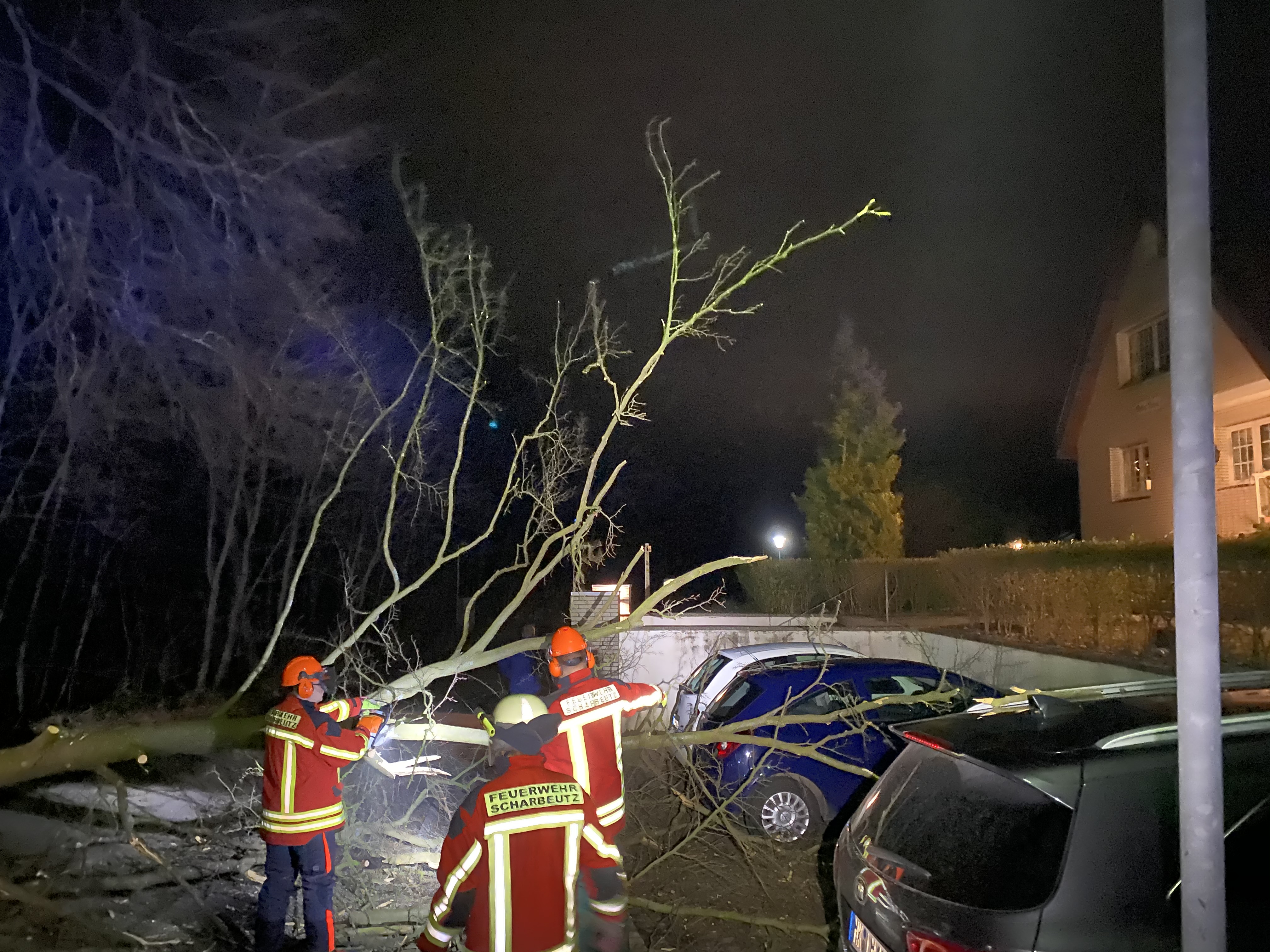Scharbeutz Aktuelles 16.02.2020 Baum auf Fahrbahn 