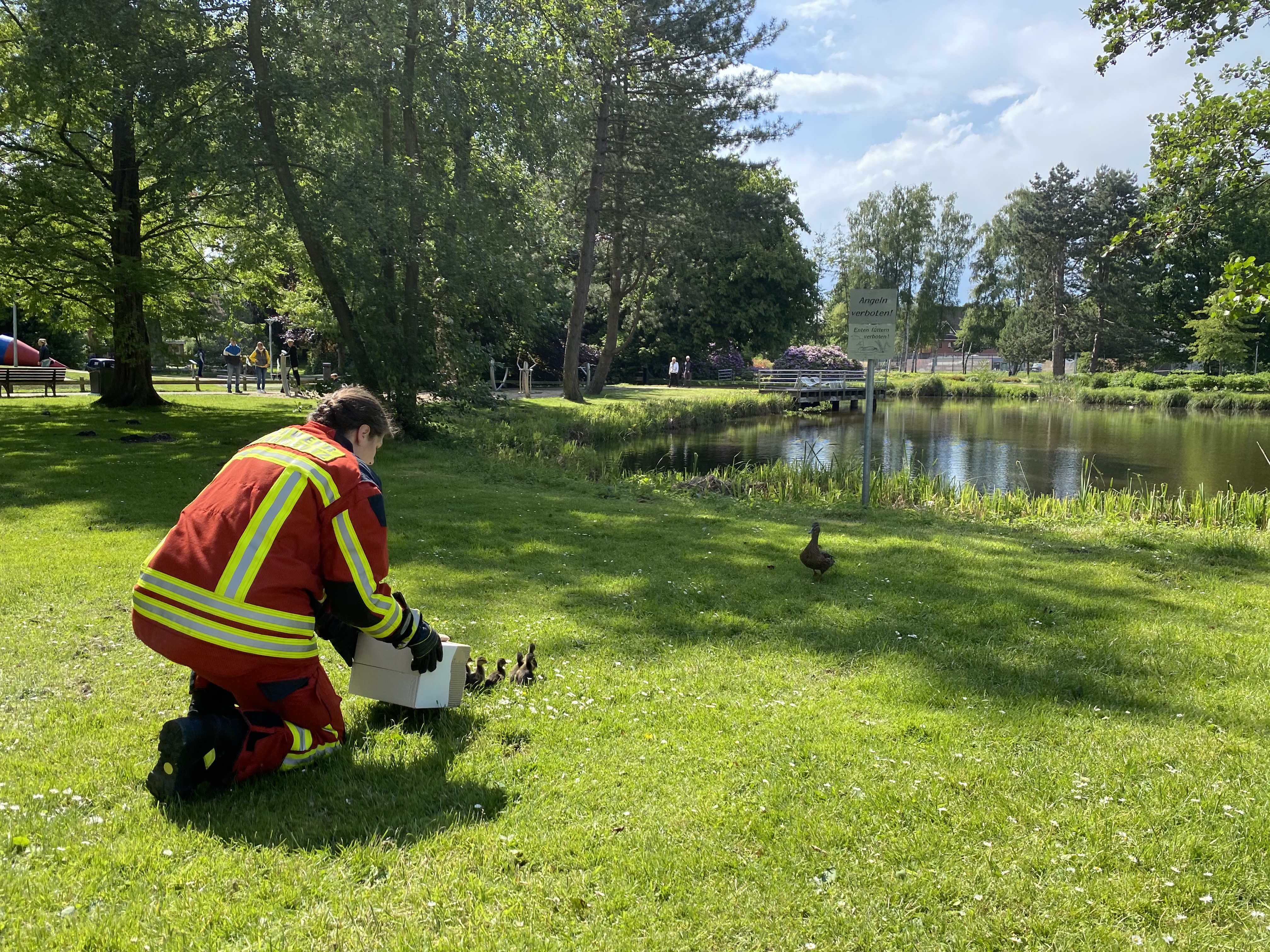 Scharbeutz Aktuelles 06.06.2020 Tierischer Einsatz in Scharbeutz 