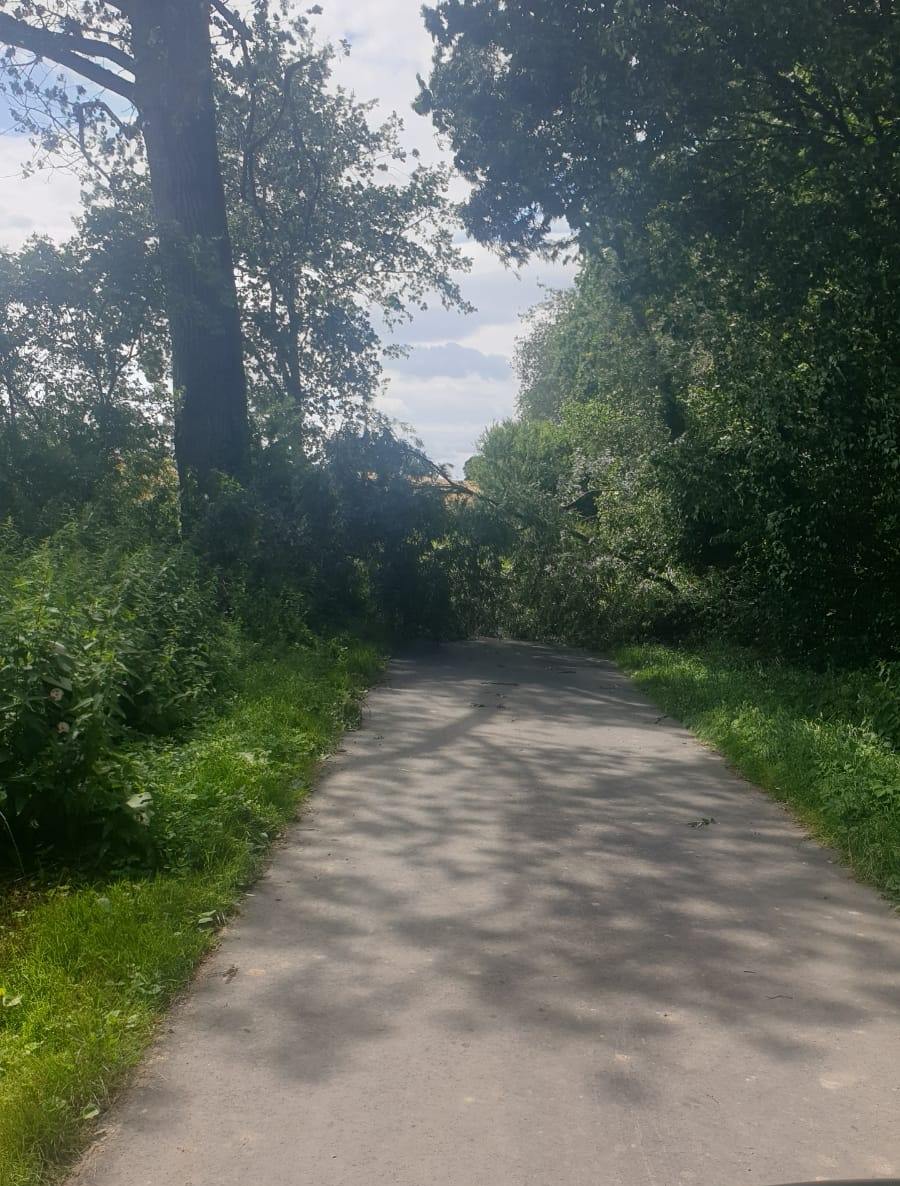 Einsatz 28/2020 FF Gleschendorf