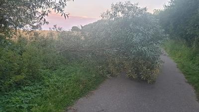Bild vergr��ern: Einsatz 29/2020 FF Gleschendorf