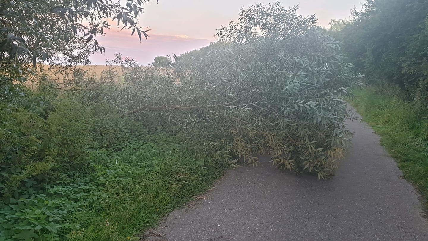 Einsatz 29/2020 FF Gleschendorf