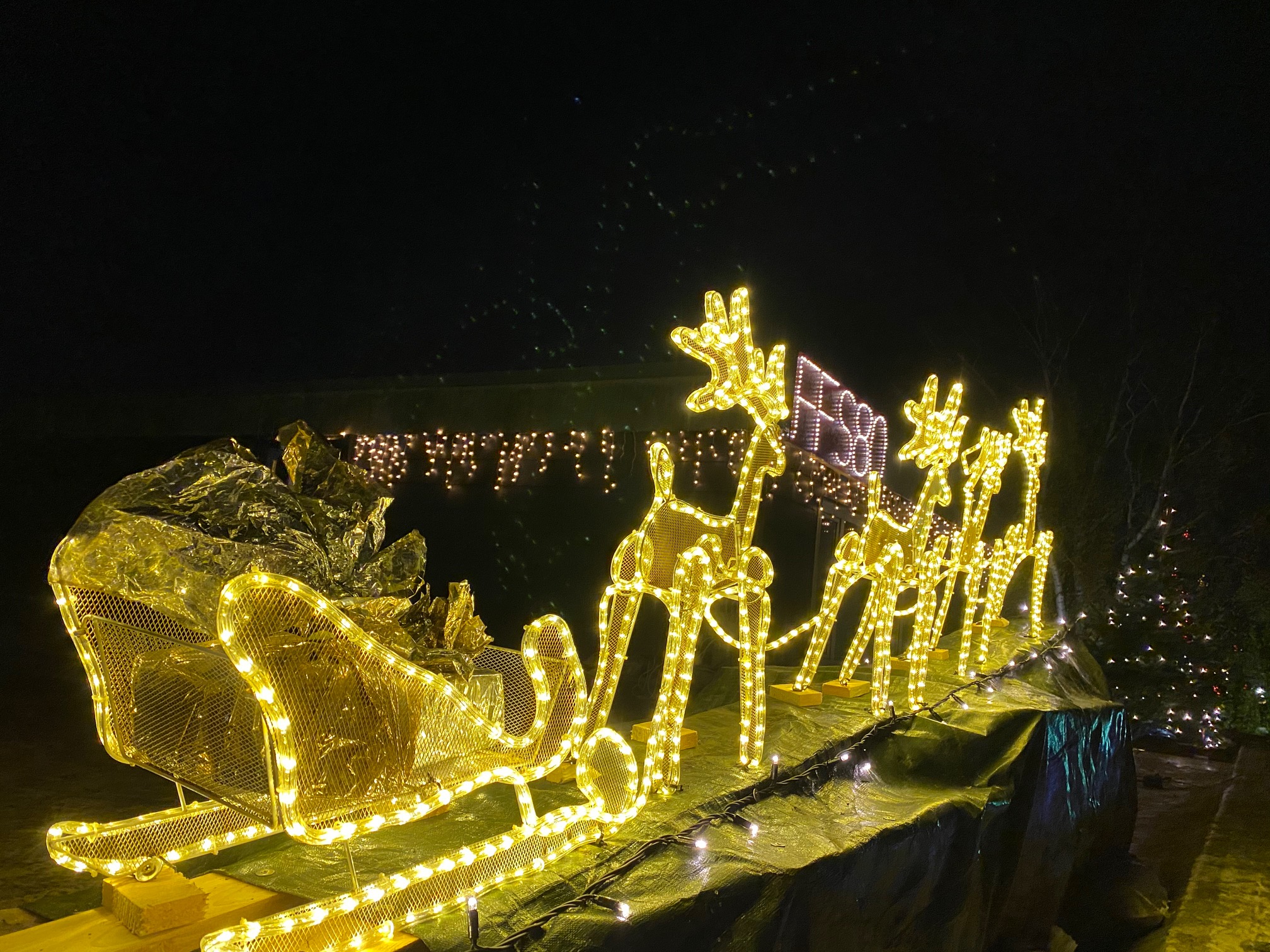 Scharbeutz Weihnachtsbeleuchtung Rentiere mit Schlitten